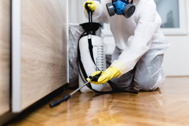 Best Pest Control Near Me in Addis, LA
