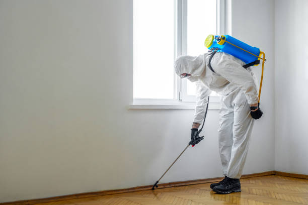 Best Pest Control Near Me  in Addis, LA