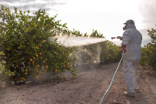 Best Pest Control Cost  in Addis, LA