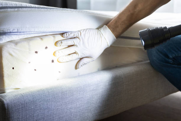 Best Pest Prevention Services  in Addis, LA