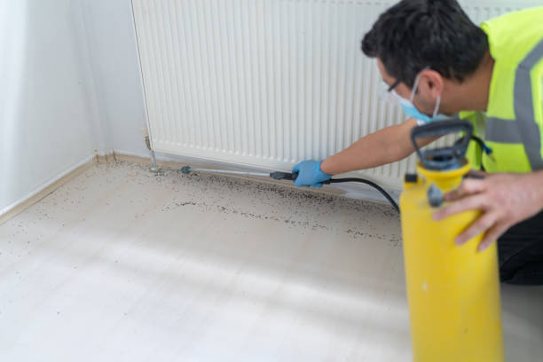 Best Cockroach Control Services  in Addis, LA